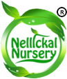 tree-transplantation-logo.webp